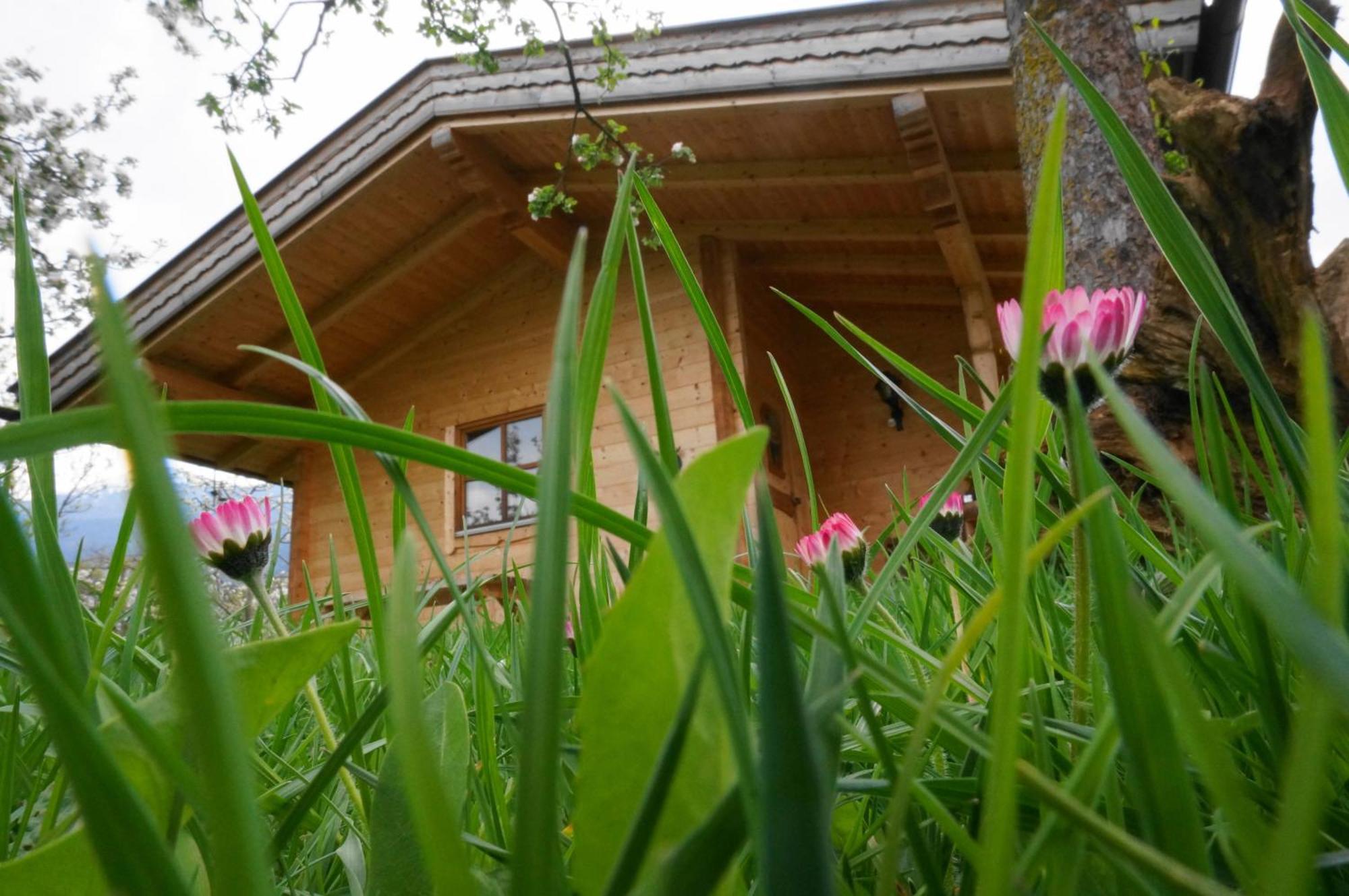 Ferienhaus Mandlhof Weer Exterior photo